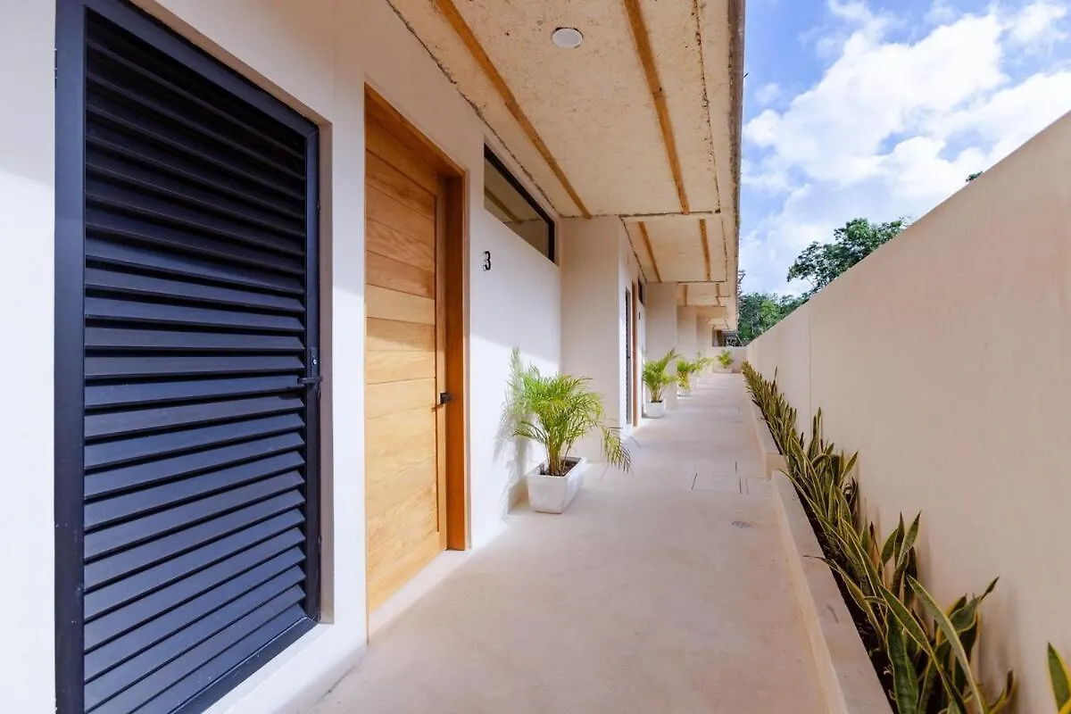 Cocay Lofts 203 Unique Jungle Swim Up Y Plunge Pool Διαμέρισμα Τουλούμ Μεξικό
