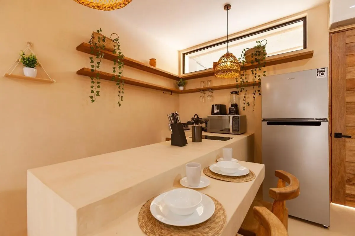 Cocay Lofts 203 Unique Jungle Swim Up Y Plunge Pool Διαμέρισμα Τουλούμ 0*,  Μεξικό