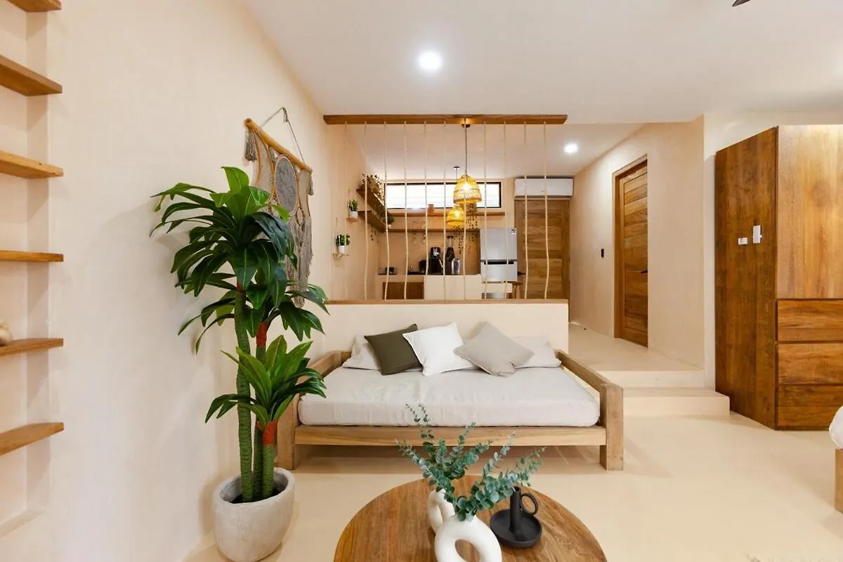 Cocay Lofts 203 Unique Jungle Swim Up Y Plunge Pool Διαμέρισμα Τουλούμ 0*,